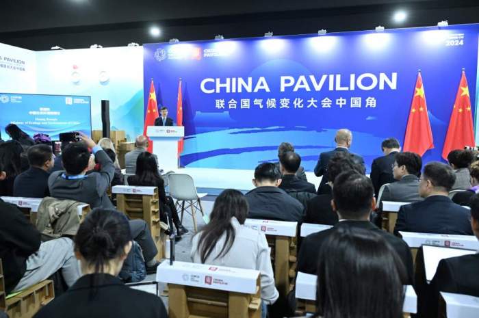 COP29 hosts forum on South-South cooperation in fight against climate change